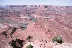 the Colorado River from Dead Horse Point State Park