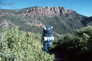 Mazatzal Peak