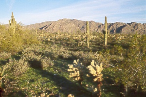 sunrise view of White Tank Mountain from Ironwood Trail; White Tank Mountain Regional Park