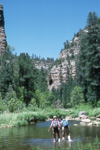 Willow Creek, a tributary of West Clear Creek