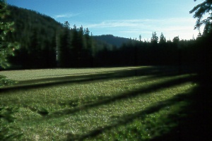 Mt. Baldy Wilderness