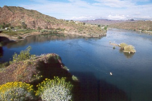 Buckskin Mtn. State Park (left) on the Colorado River